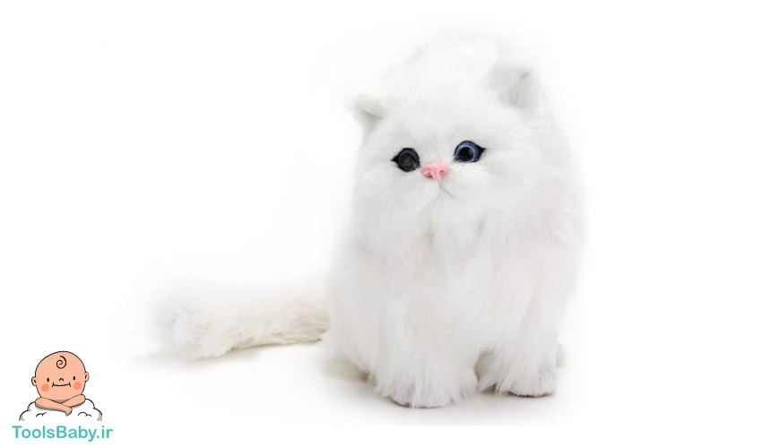 راهنمای خرید عروسک گربه طبیعی برای سنین مختلف